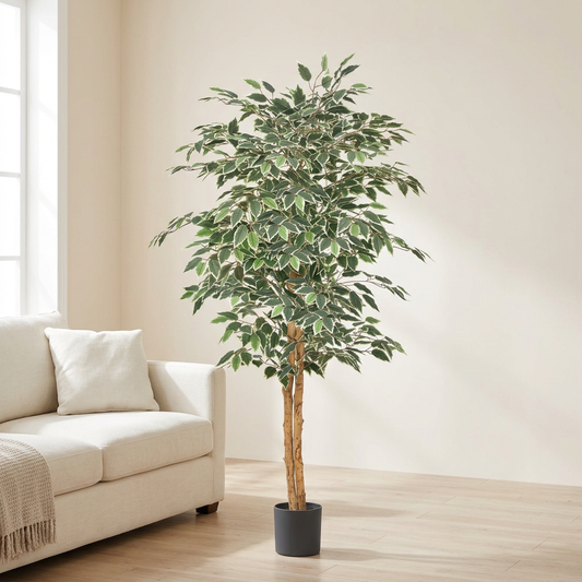 Artificial ficus tree beside an ivory linen sofa